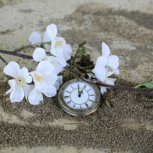 24 Hour Adrenal Testing at Global Integrative Medicine, Naturopathic Doctor's Office