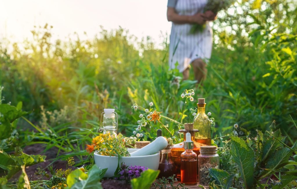 Organic natural herbal supplements from Naturopathic Doctor Dr Pringle at Global Integrative Medicine